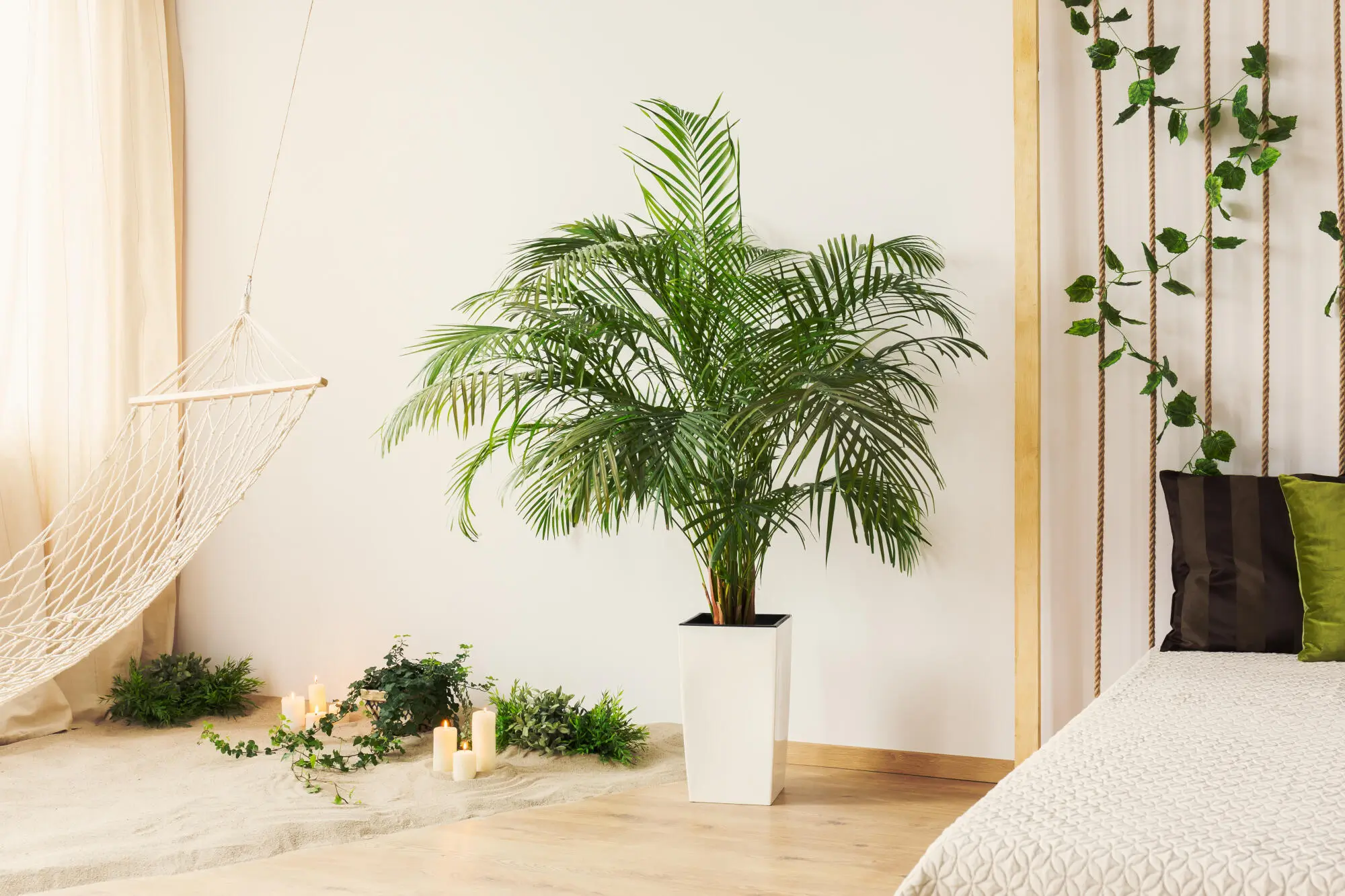 Vacation Rental Property Management: Dos and Don'ts in Brandon, FL